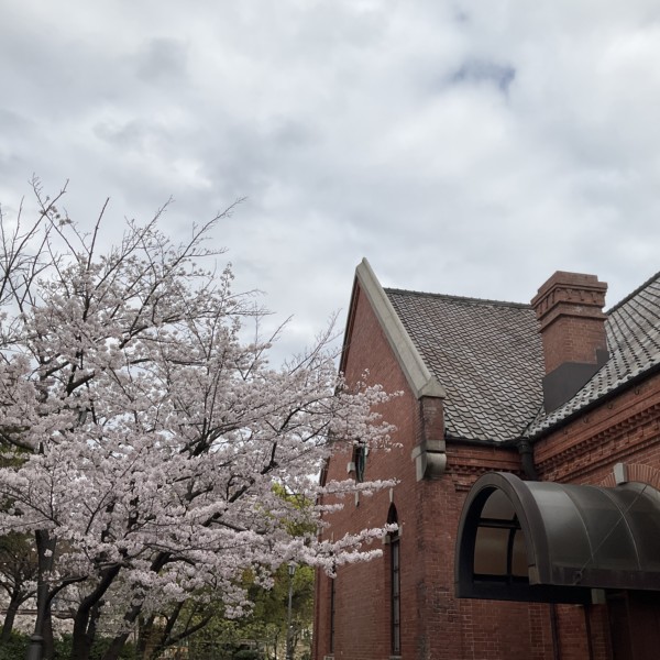 桜　神戸文学館